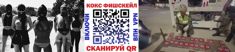Купить где  Тбилисская  Cocaine 98% 