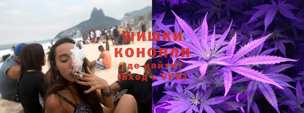 мдпв Козельск