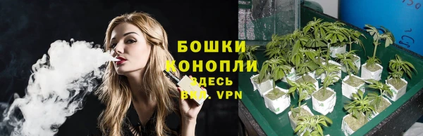 мдпв Козельск