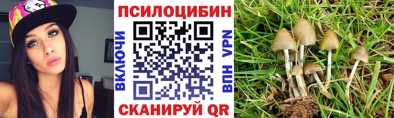 Псилоцибиновые грибы MAGIC MUSHROOMS  Купить  Тбилисская 