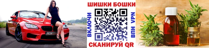 Конопля OG Kush  Купить  Тбилисская 